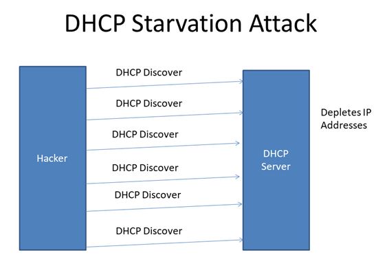 DHCP Starvation Attack image