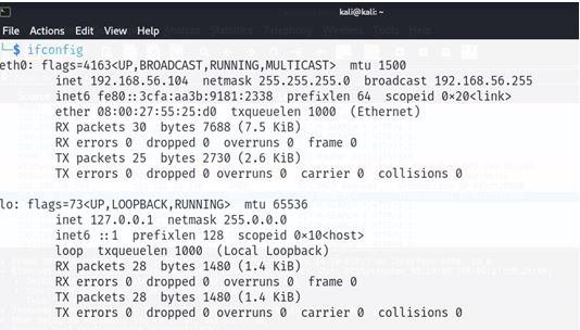 DHCP ip assignment